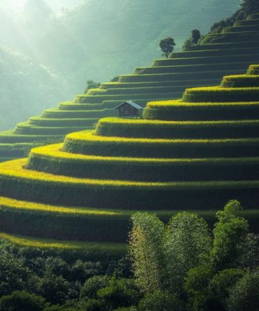 Best Hair Growth Serum for Women 2024: Top Choices for Travelers