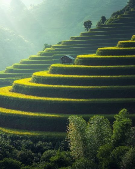 Best Hair Growth Serum for Women 2024: Top Choices for Travelers