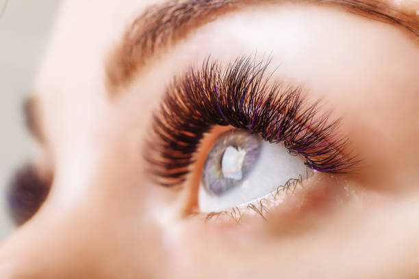 How long eyelashes grow back?