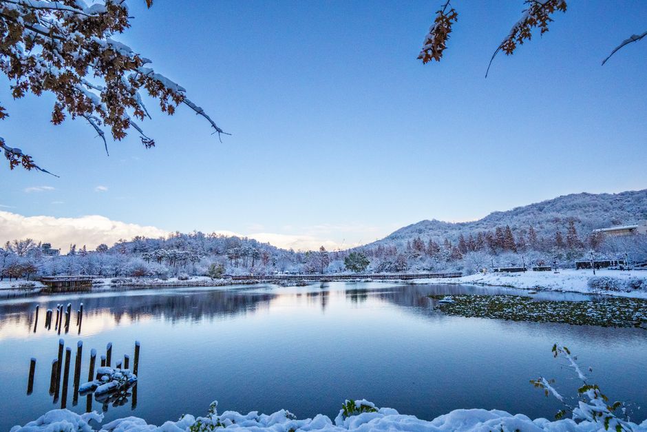 A tranquil lake scene in Seoul dusted with fresh snow under a clear blue sky.