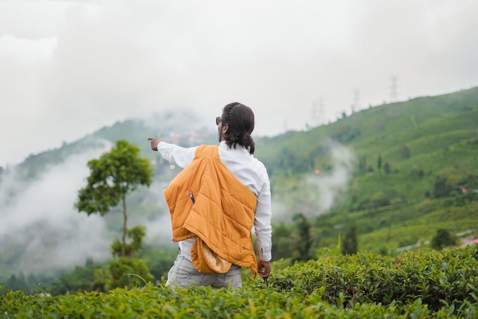A man in a tea plantation points towards misty mountains, capturing serenity and nature's beauty.