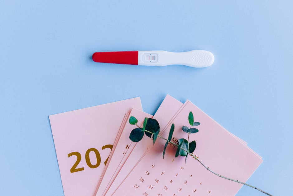 Pregnancy test on pastel flat lay with calendar and eucalyptus branch, symbolizing new beginnings.
